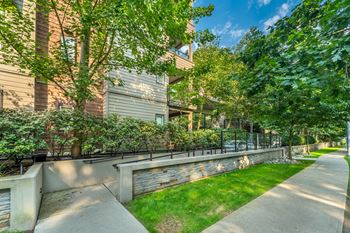 A concrete pathway leads through a grassy area beside a row of houses.